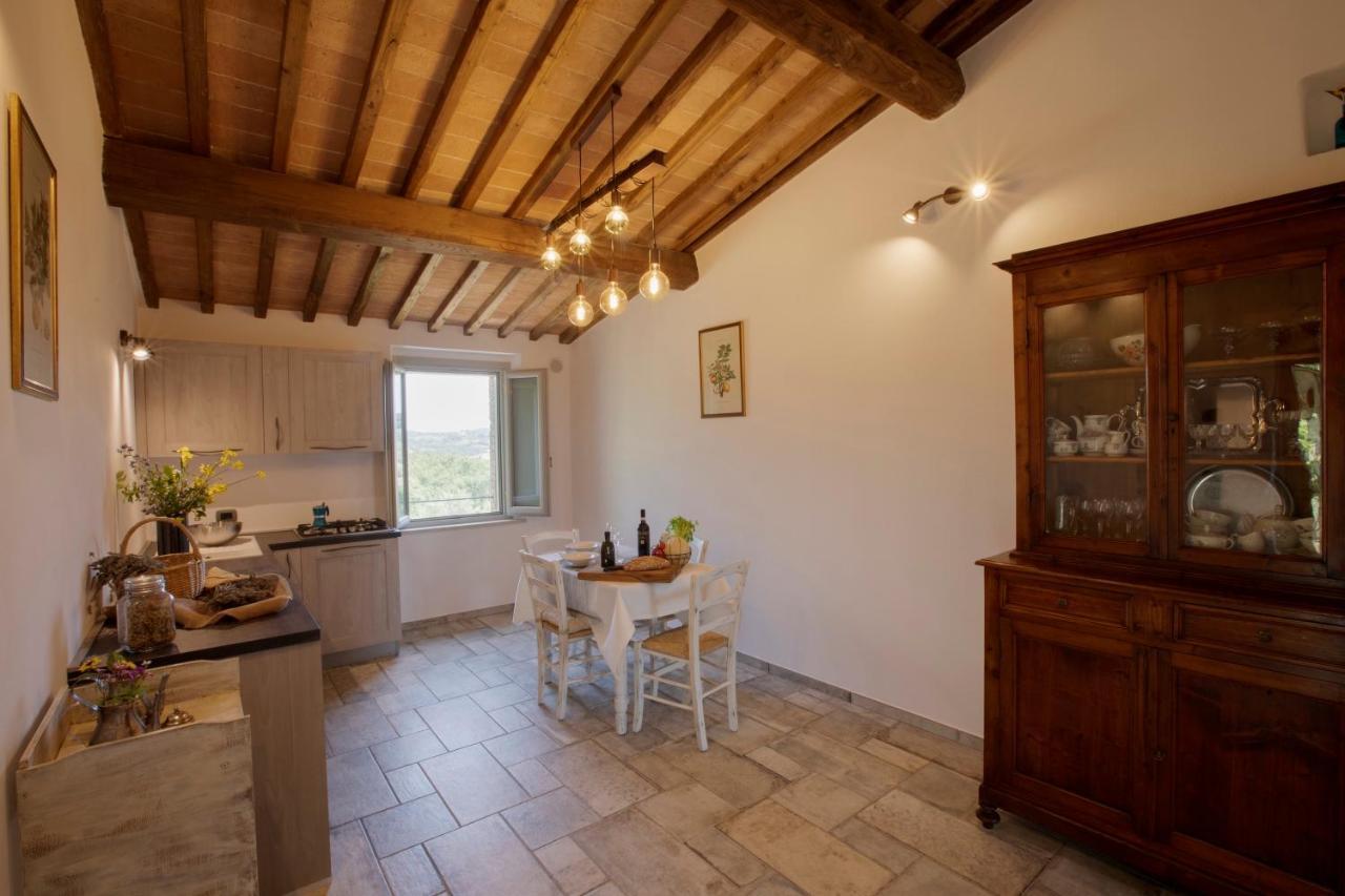 Alchimista Holiday home Casole d'Elsa